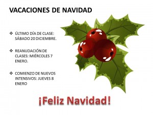 Vacaciones navidad 19 nov 14